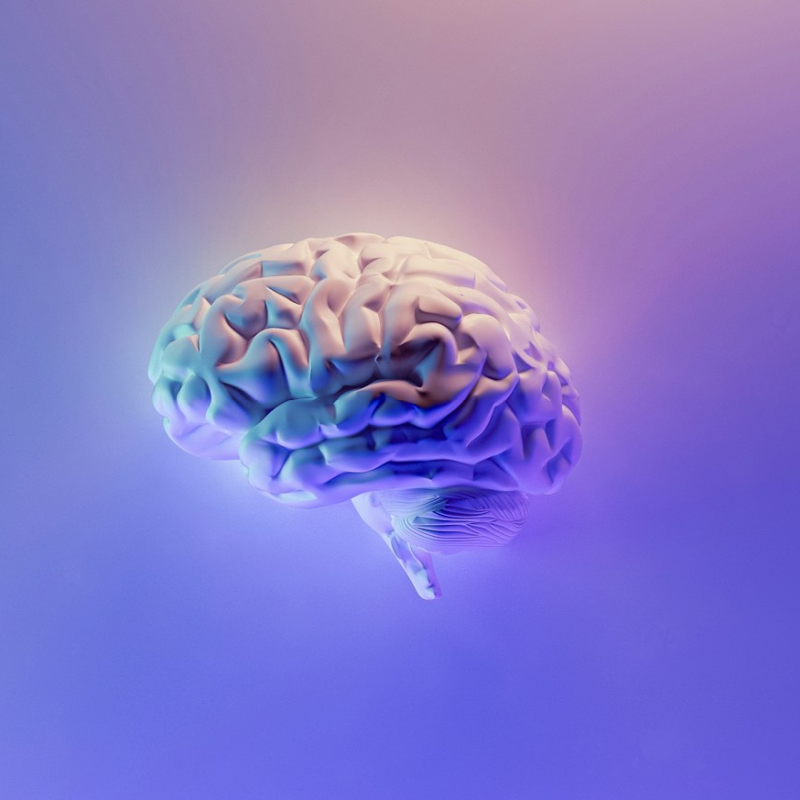 Ein AI-generiertes Bild zeigt ein symbolhaftes menschliches Gehirn in futuristischen Farben