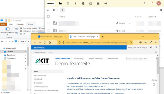 Browser mit bwSS, Sharepoint, Explorer