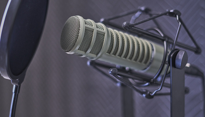 graues Kondensatormikrofon mit Pop-Filter