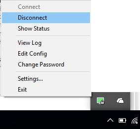 Figure 6: Established VPN connection