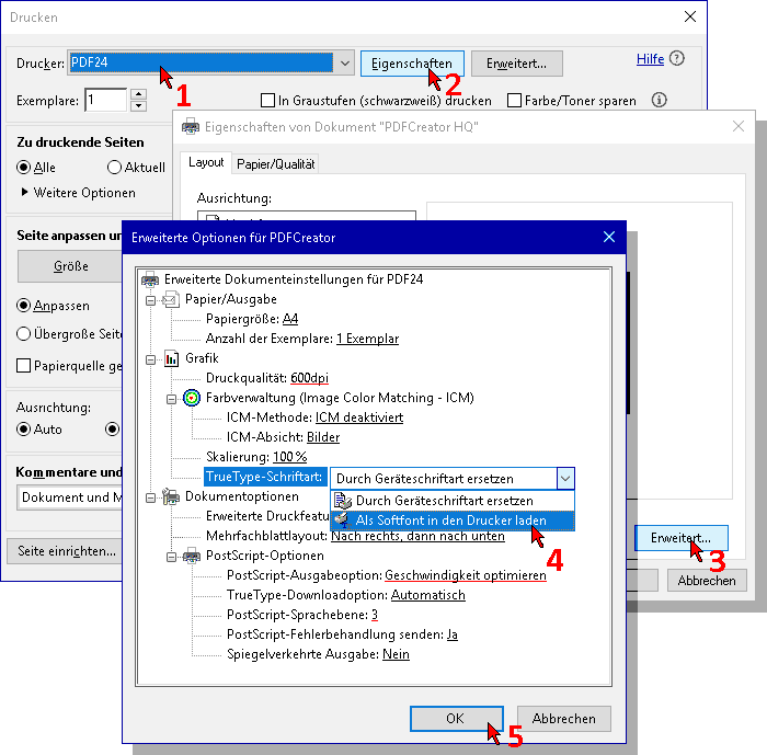 Drucker-Optionen: Softfont in den Drucker laden