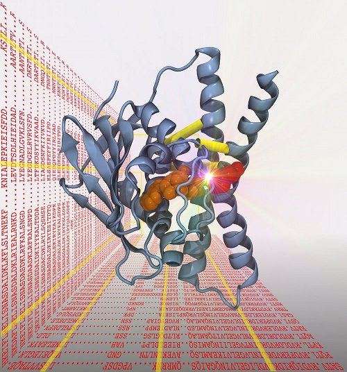 Abbildung eines Proteins